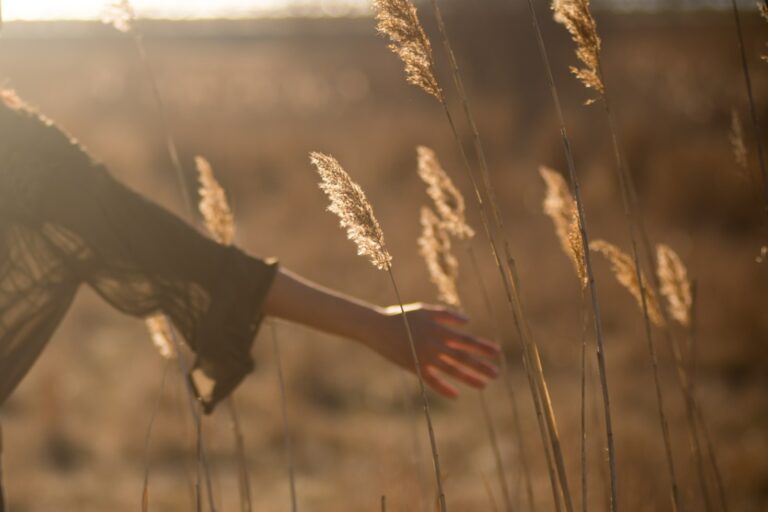 How Tantra Guides Us to Sacred Living